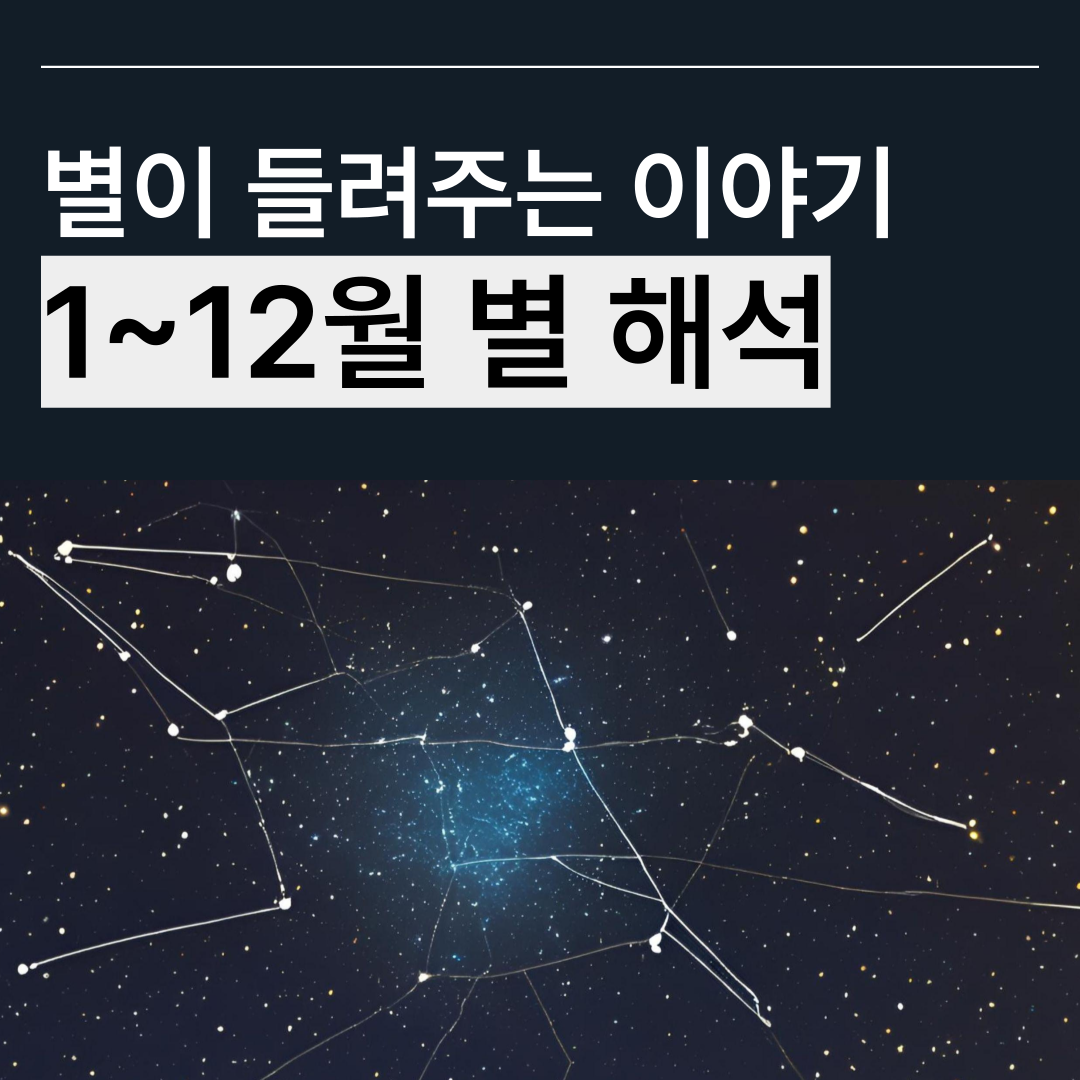 별자리 별이 들려주는 이야기 1~12월 해석 썸네일