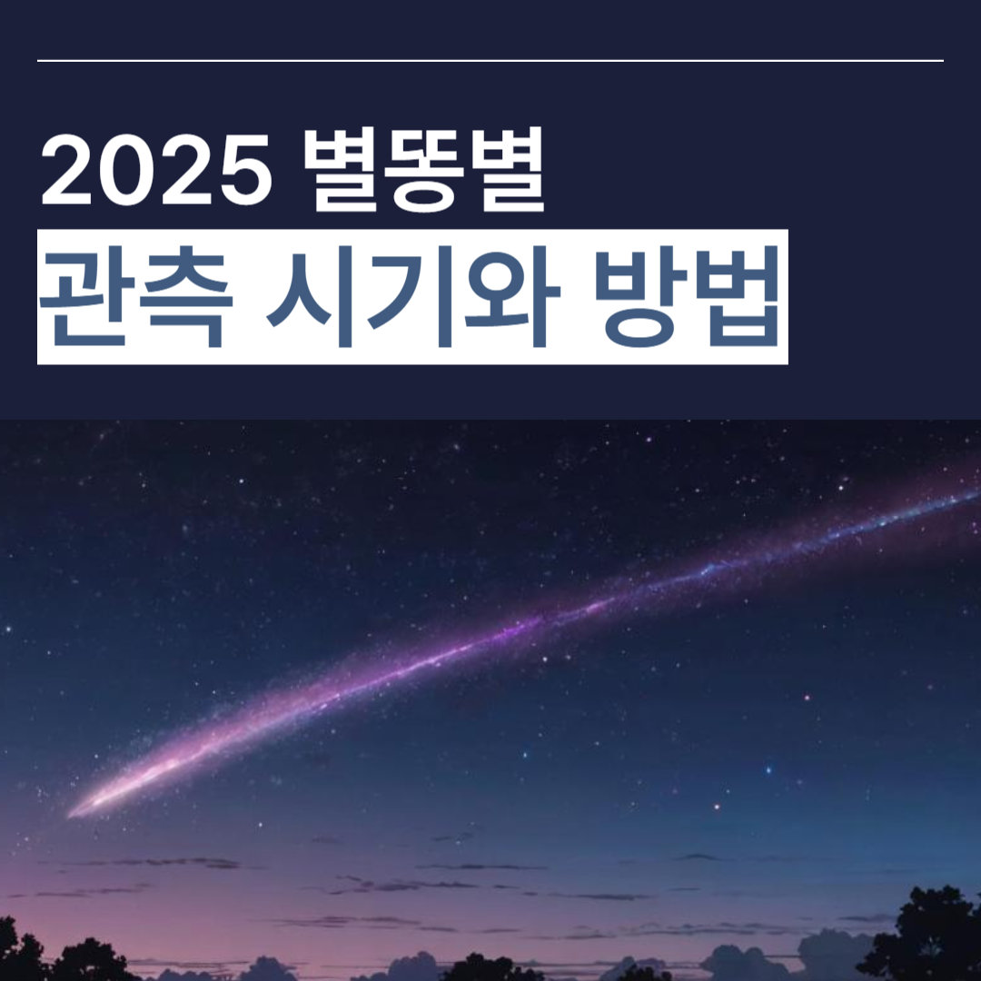 별똥별 관측 시기와 방법 썸네일