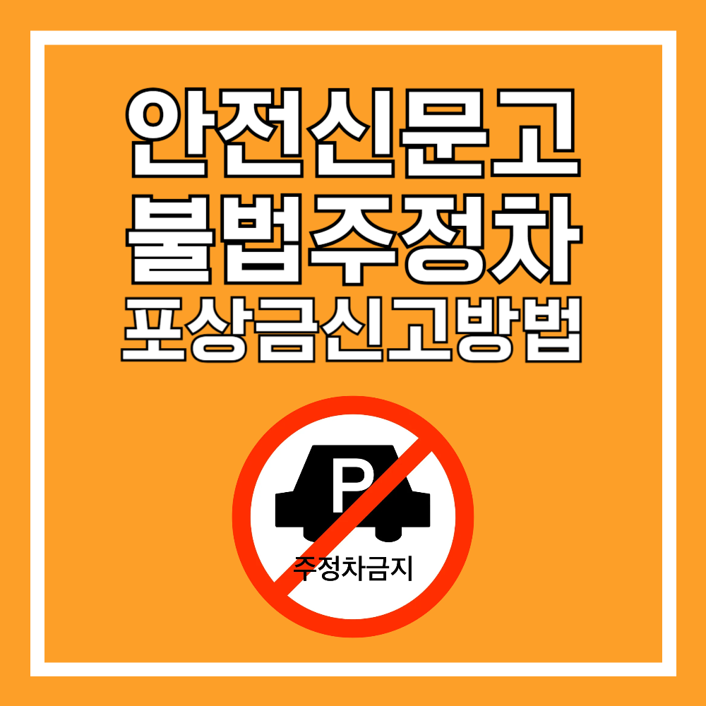 안전신문고 불법주정차 포상금 신고 방법 및 사진 촬영 요령