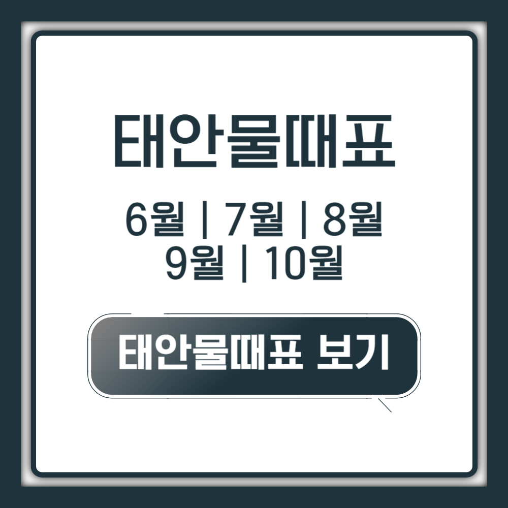 태안물때표 보는법 - 6,7,8,9,10월 확인하기 (2025년)