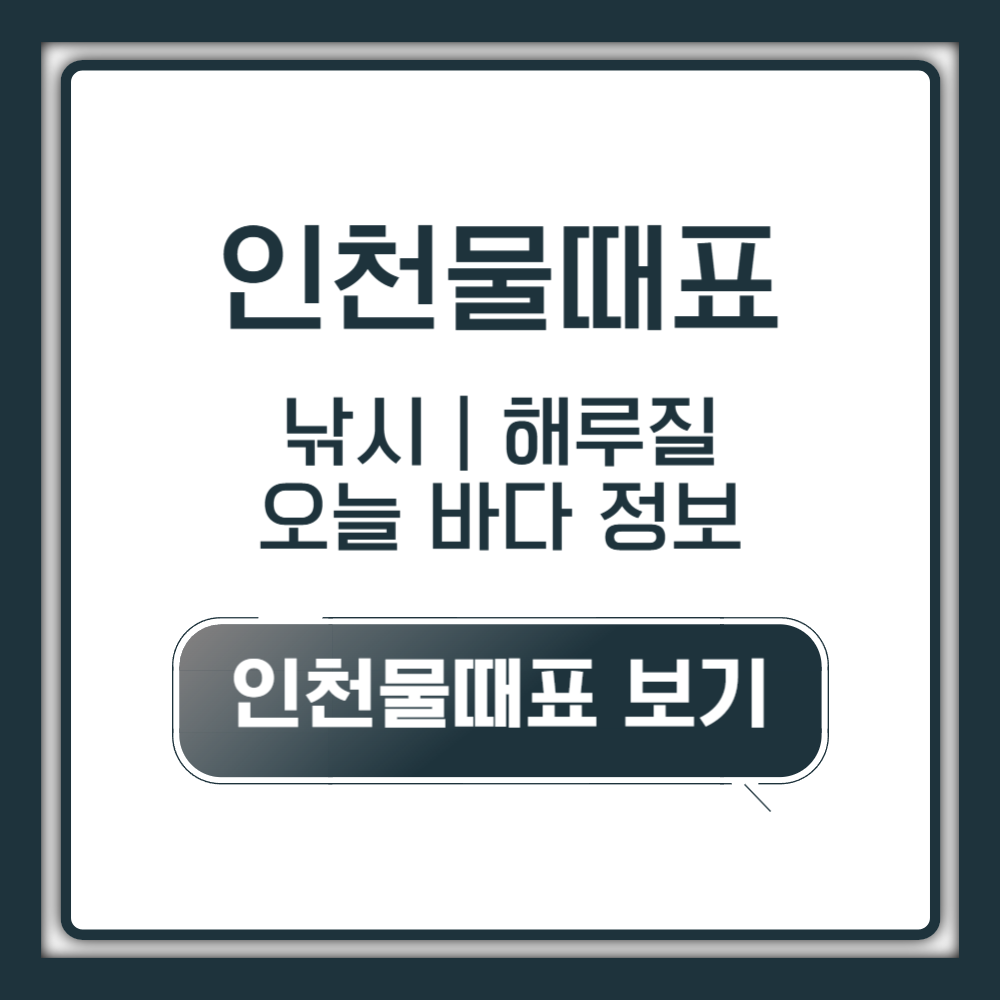인천물때표 보기, 낚시 해루질 여행을 위한 오늘 바다 필수 정보