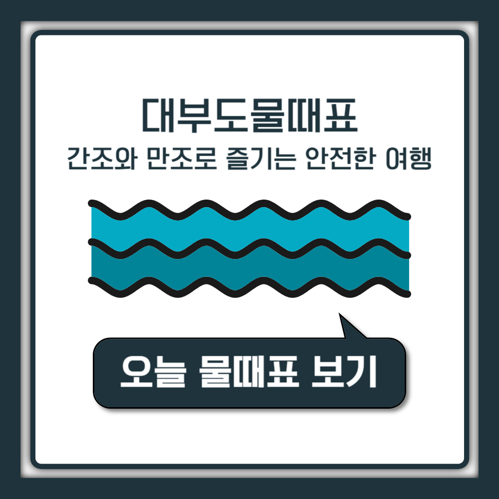 대부도 물때시간표 2025년 간조와 만조로 즐기는 안전한 여행