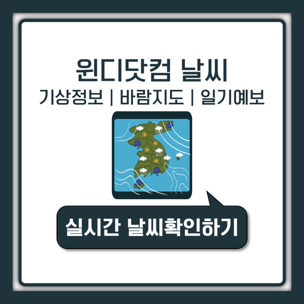 윈디닷컴 날씨, 정확한 기상 정보 활용 가이드