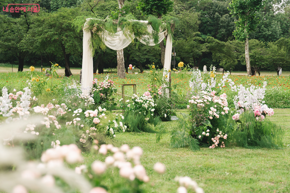 서울시 신혼부부 100만원 지원금|신청기간·자격조건·혜택 총정리