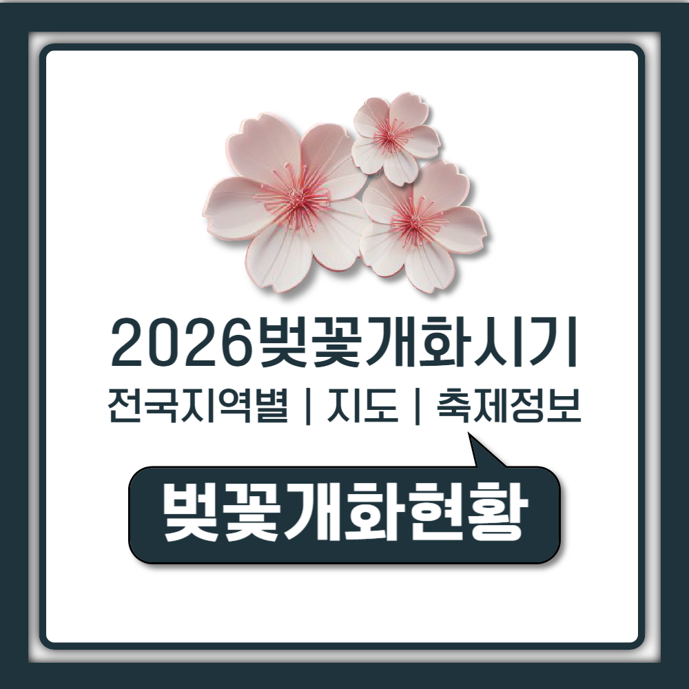2026 벚꽃 개화시기와 전국 지역별 만개 예측 지도 및 축제 정보