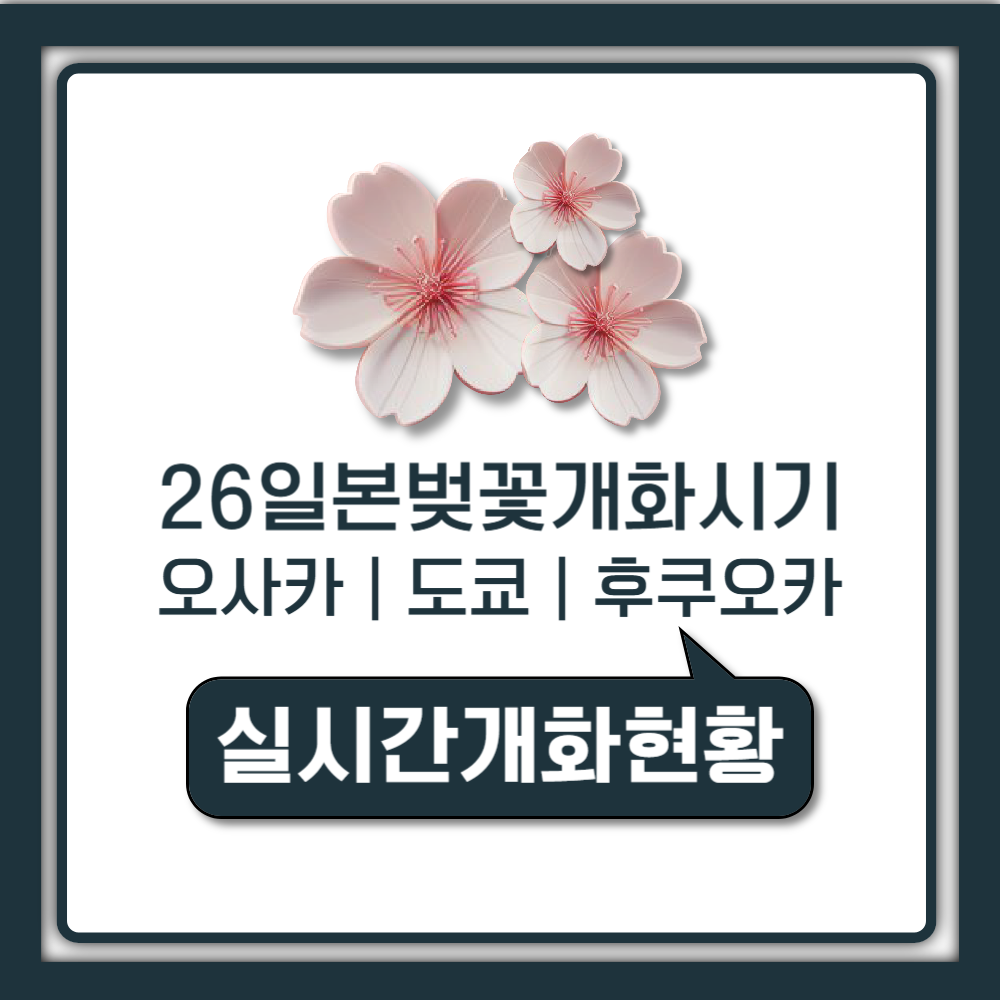 2026년 일본 벚꽃 개화시기 만개일 및 오사카 도쿄 후쿠오카까지 지역별 여행 최적기