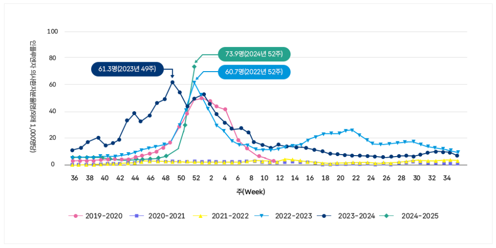 인플루엔자 뜻과 독감 증상 자가진단 및 예방접종 시기 보험 실비 청구 서류 안내