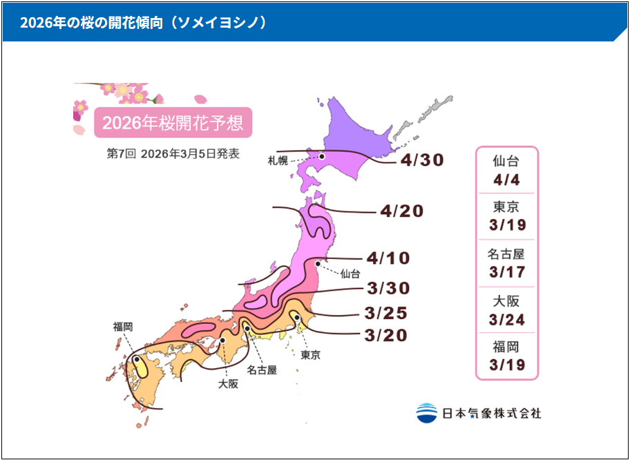 2026년 일본 벚꽃 개화시기 만개일 및 오사카 도쿄 후쿠오카까지 지역별 여행 최적기