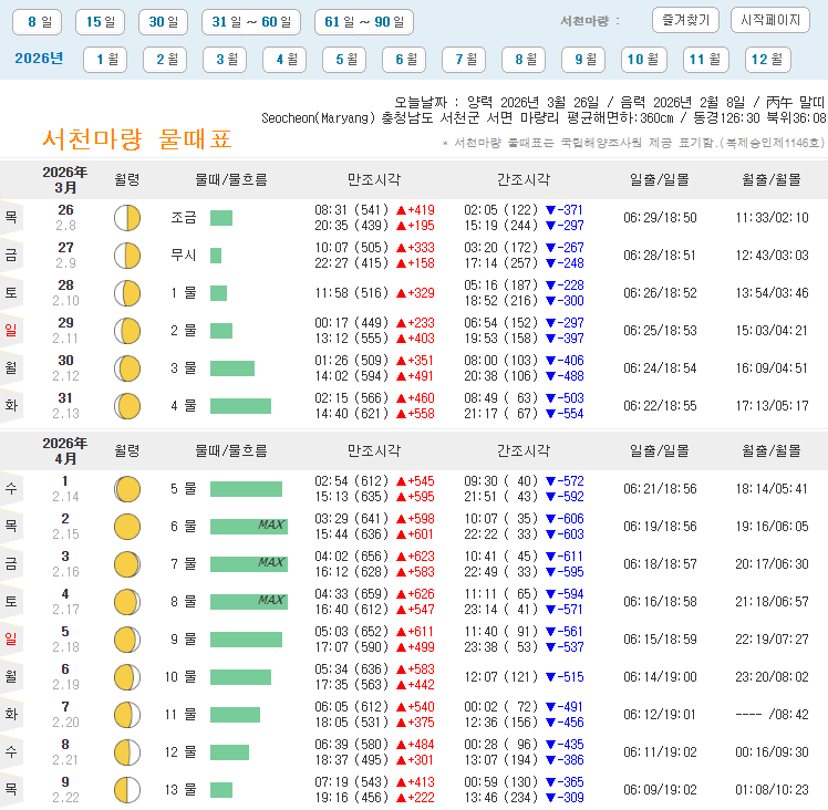 서천 선도리갯벌체험장 서해 물때표 딱 맞춰 가는 법 총정리 (마량,조개잡이,글램핑)