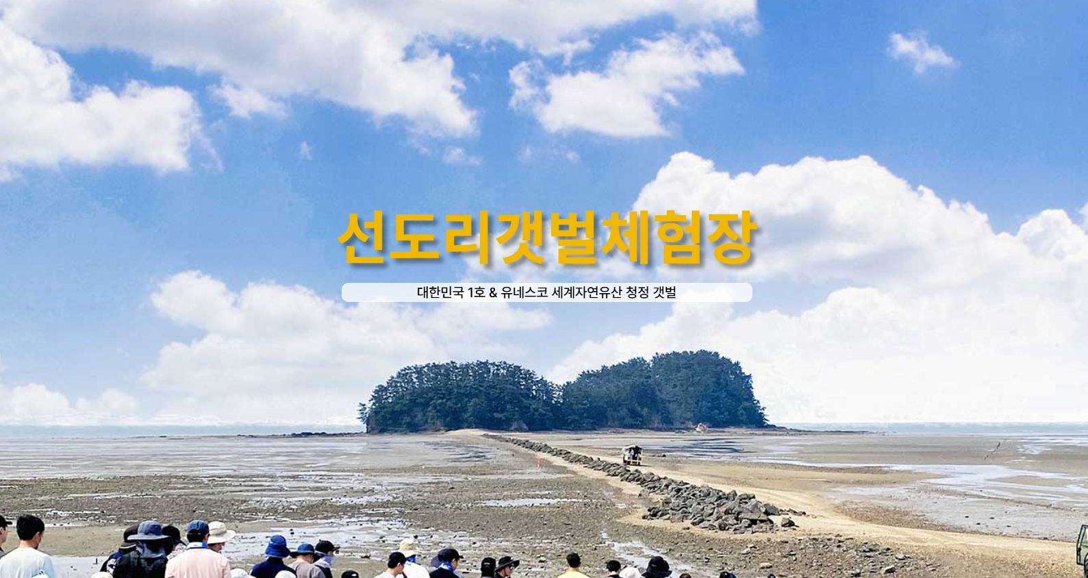 서천 선도리갯벌체험장 서해 물때표 딱 맞춰 가는 법 총정리 (마량,조개잡이,글램핑)