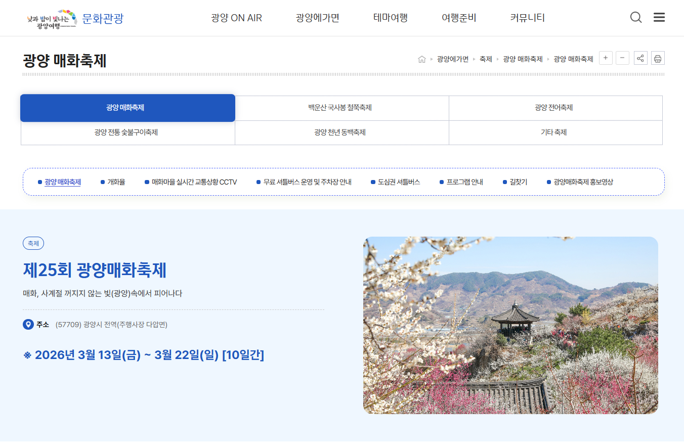 2026 광양 매화축제 기간 실시간 개화현황 및 주차 셔틀버스 가이드