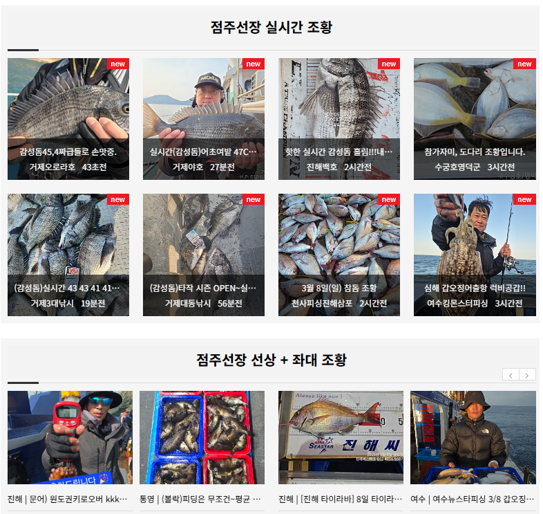 인낚 점주선장 실시간 조황 확인법과 인낚넷 바다낚시 이용 가이드