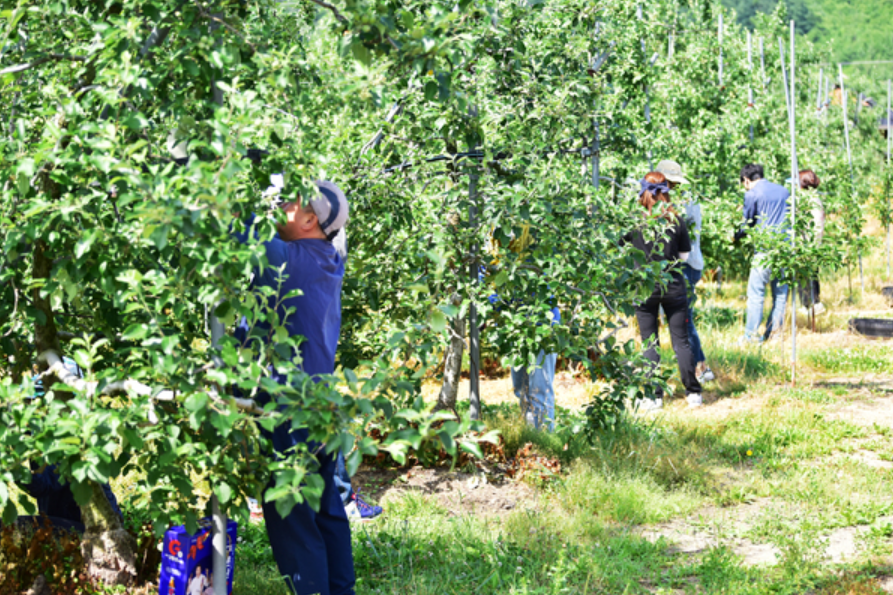 숙식제공 일자리란 개념 설명