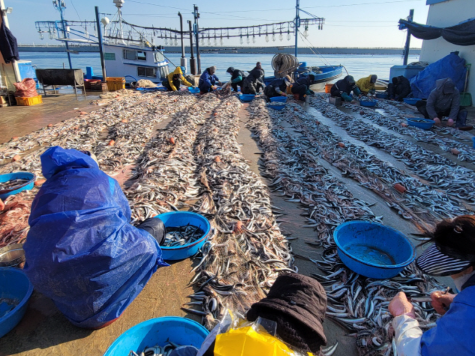제주 시골 인천 지역별 숙식제공 일자리