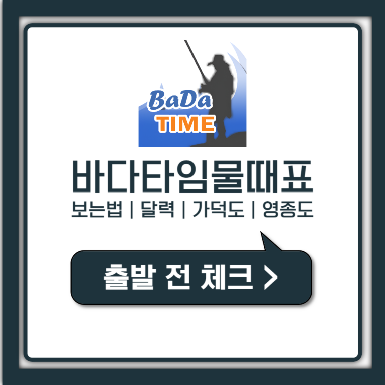 바다타임 물때표 보는법, 가덕도 영종도 달력까지 한번에