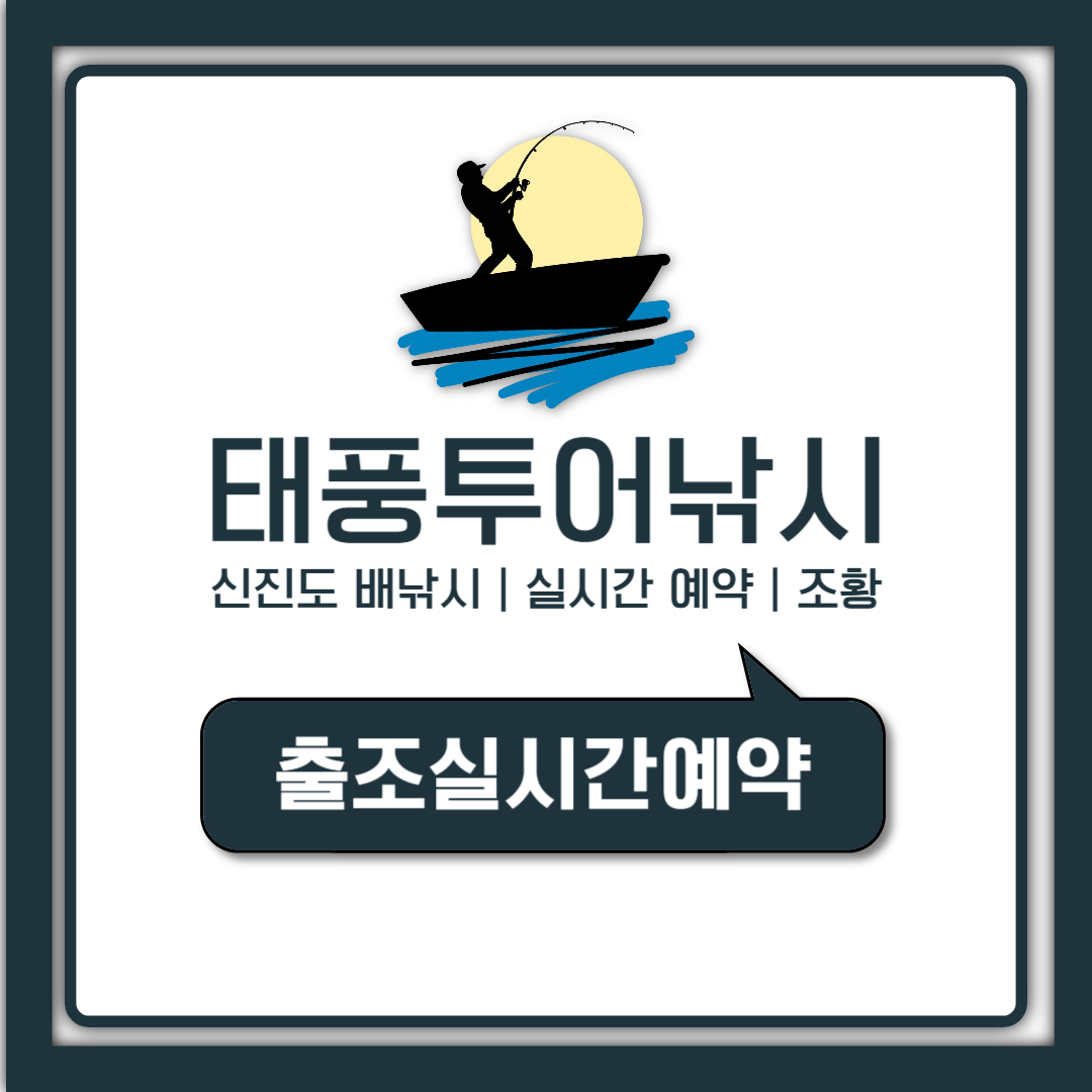 태풍투어낚시 예약부터 신진도 실시간 조황 확인까지 한눈에
