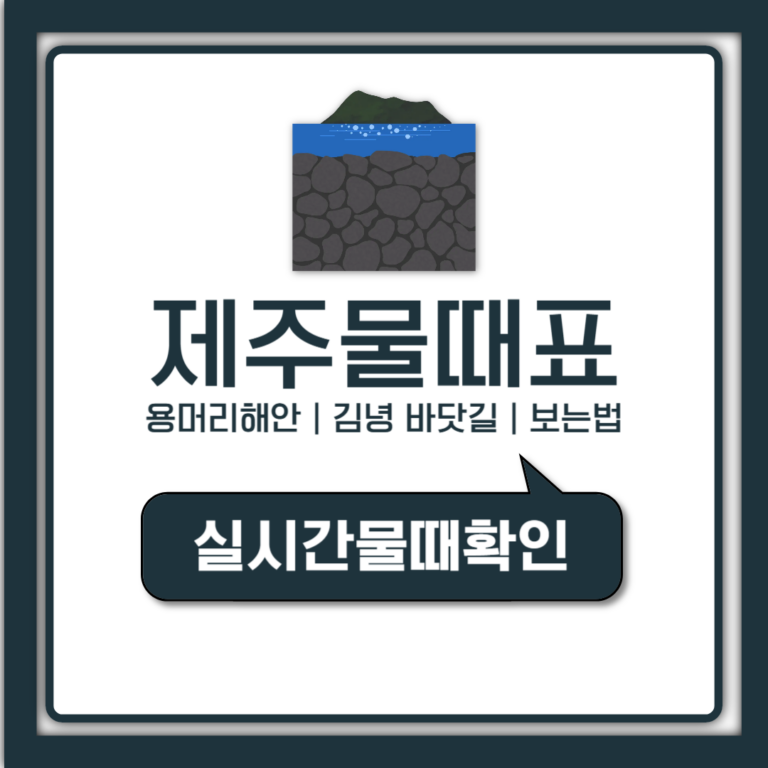 제주물때표 보는법 용머리해안 김녕 바닷길 명소별 시간 한눈에