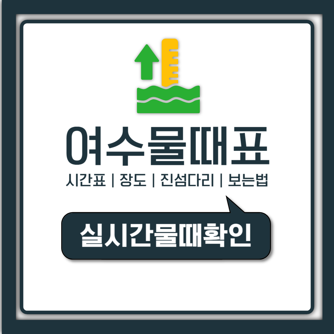 여수 물때표 보는법, 오늘 장도 진섬 만조 간조 시간표 한눈에 정리