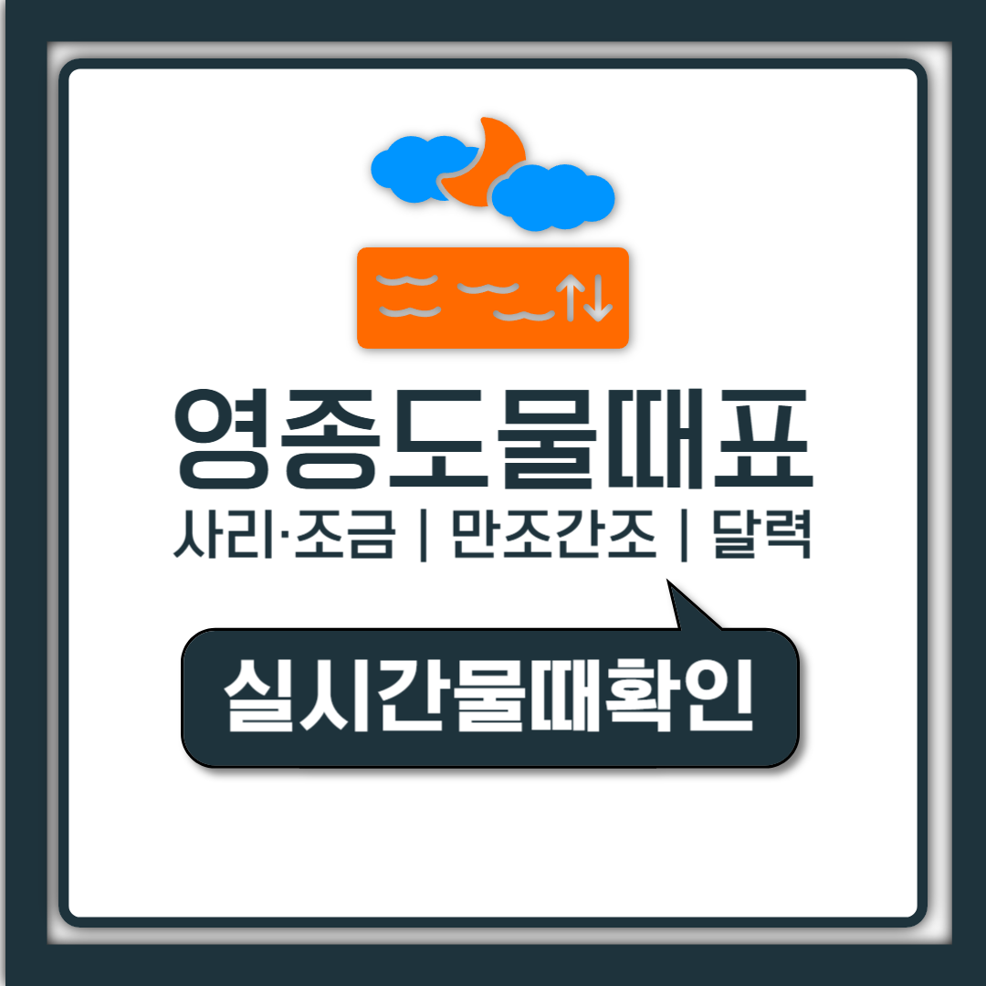 영종도 물때표 시간 한눈에, 해루질 간조 만조 적기까지 정리