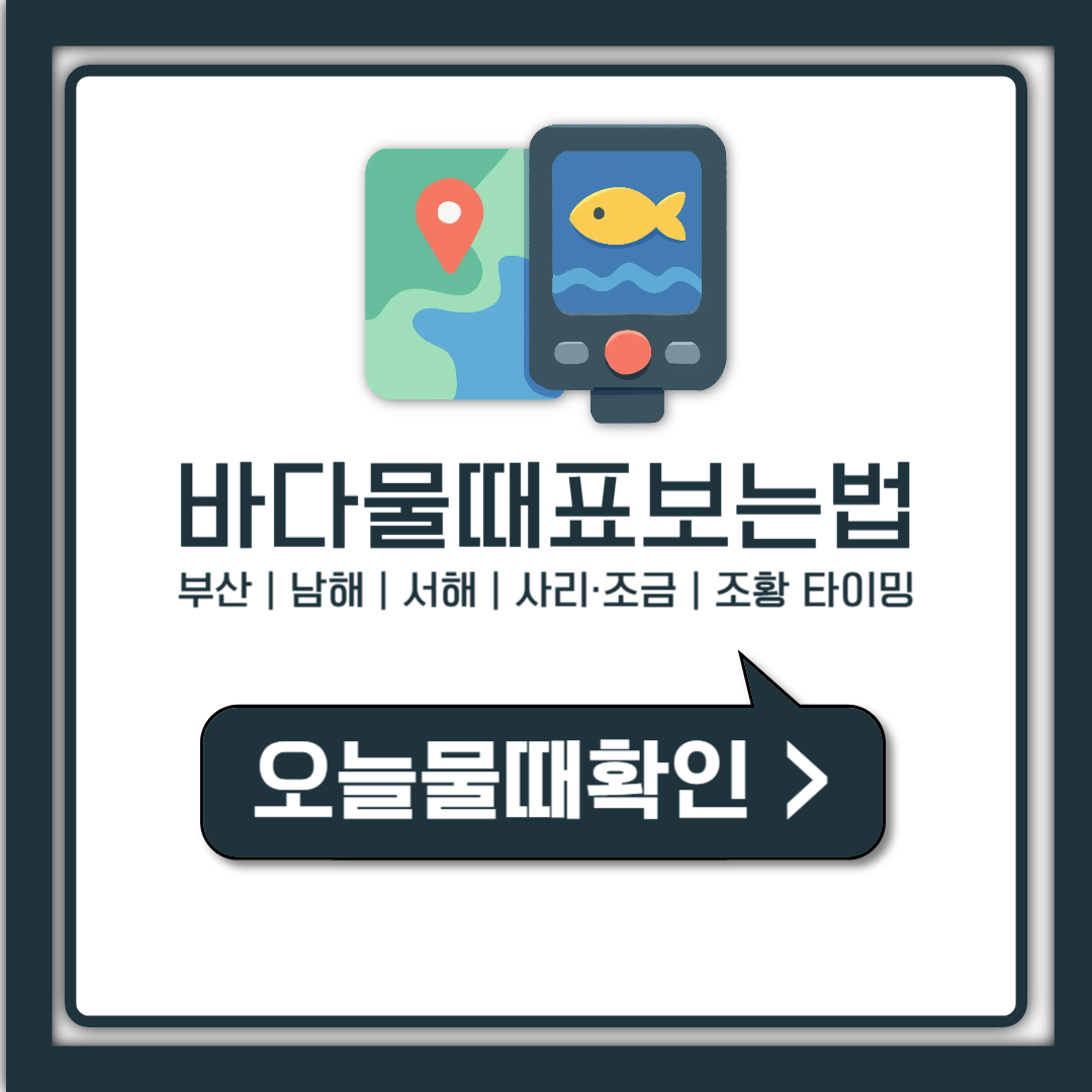 바다물때표 보는법 총정리, 부산·오늘 물때 1분 확인