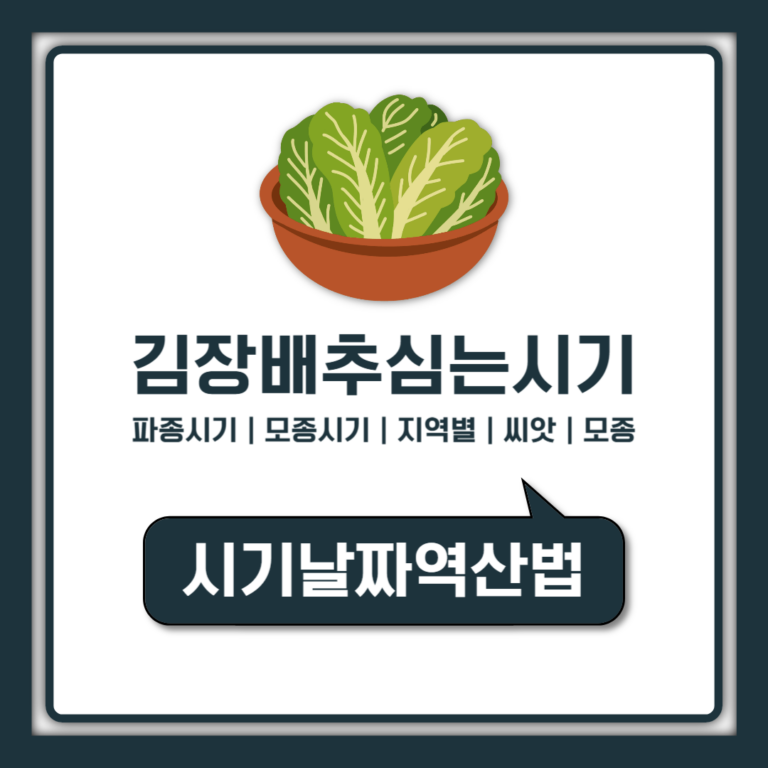 김장배추심는시기 지역별 정리, 파종시기 모종시기 늦으면 속이 덜 차는 이유
