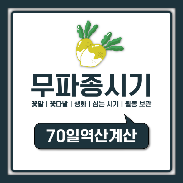 무 파종시기 언제부터? 가을무 김장무 파종시기 70일 역산법